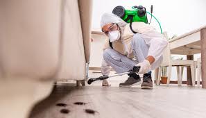 Emergency Pest Control in Landisville, PA